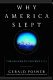 Cover of WHY AMERICA SLEPT