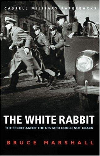 Cover of THE WHITE RABBIT