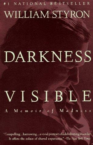 Cover of DARKNESS VISIBLE