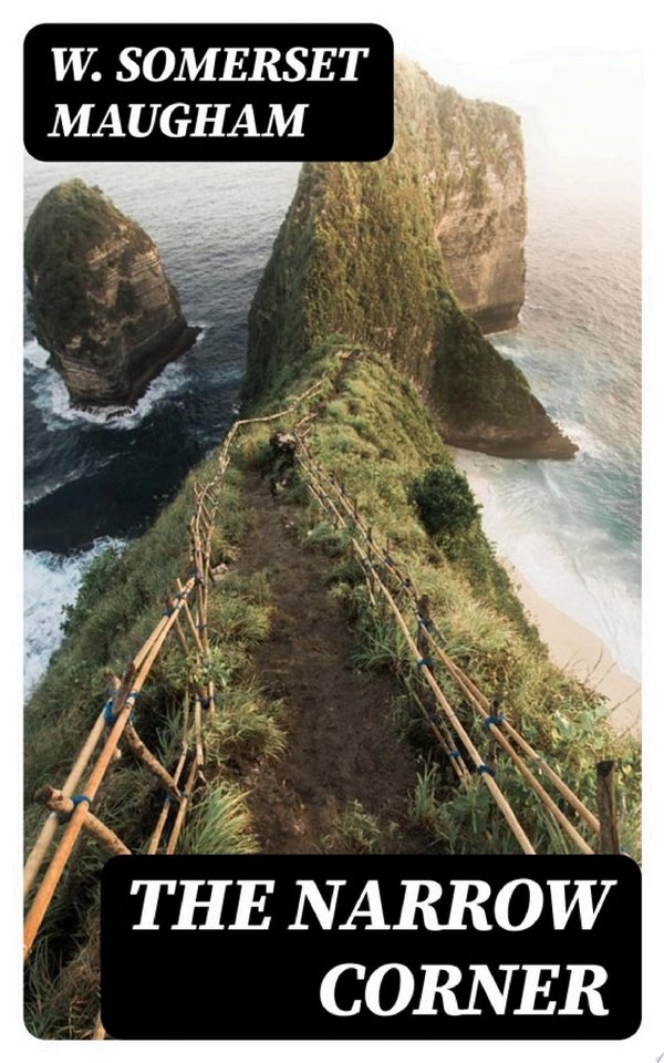 Cover of THE NARROW CORNER